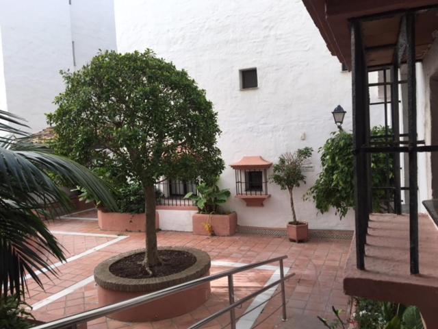 Ferienwohnung Large And Elegant In Puerto Banus With Pools And Paddle Marbella Exterior foto